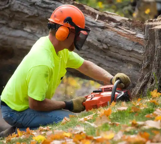 tree services Cajah's Mountain